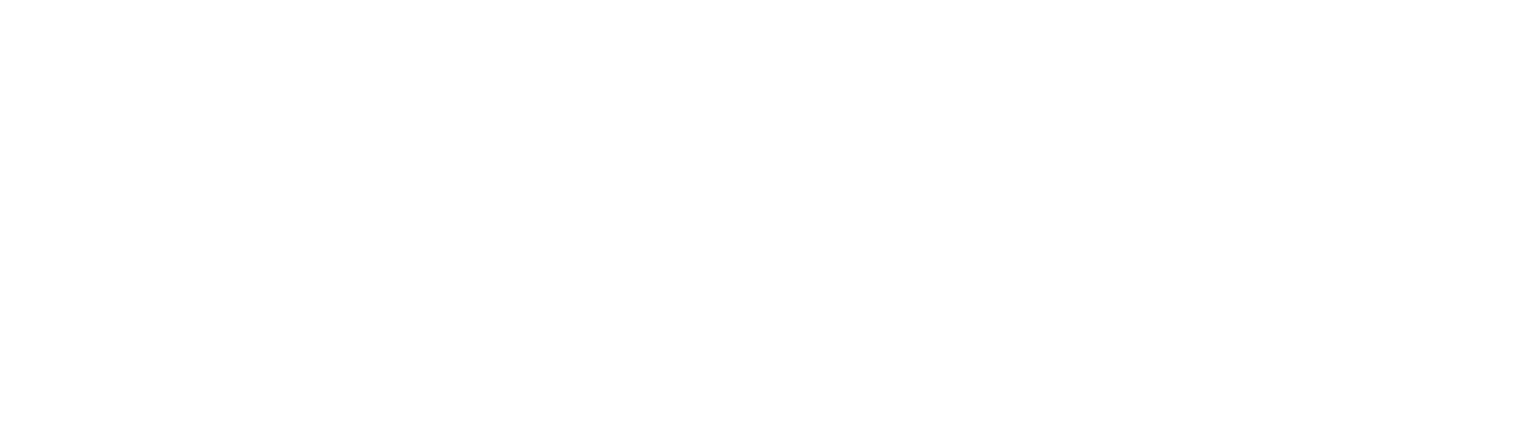 Pivotnetics — Business Acceleration